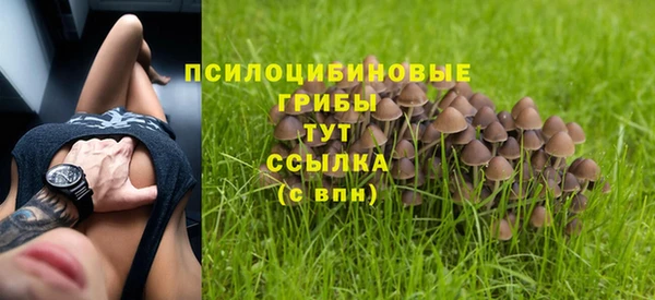 COCAINE Горняк