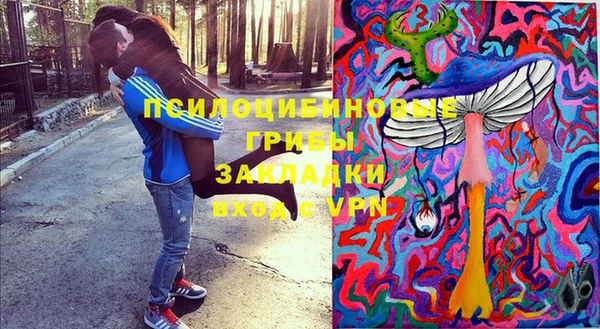 ГАЛЛЮЦИНОГЕННЫЕ ГРИБЫ Надым